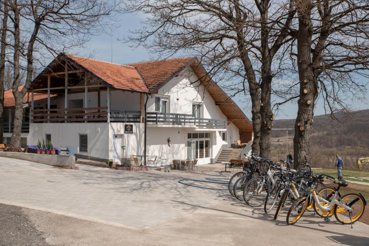 Konak Ljubica Rtanj Boljevac Exterior foto